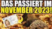 Was passiert am 23. November 2023