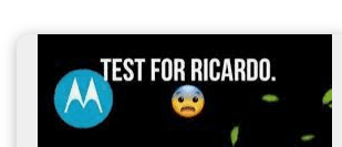 What is test for ricardo notification